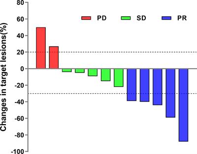 Camrelizumab as a novel third or post-third-line treatment strategy in small cell lung cancer: a retrospective study of 12 patients